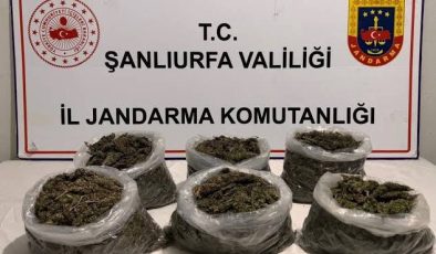 Suruç ve Şanlıurfa’da Yeni Uyuşturucu Tütün Alarmı: Gençler Tehlikede!