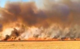 Viranşehir’de Korkutan Yangın: Bin Dönüm Buğday Tarlası Kül Oldu