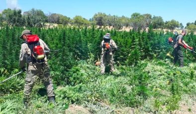 🚨 DEV UYUŞTURUCU OPERASYONU!