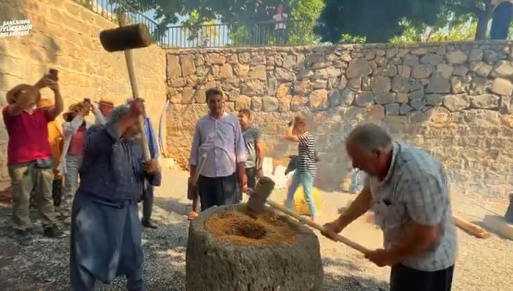 Şanlıurfa’da Uluslararası Buğday Hasadı Festivali Başladı