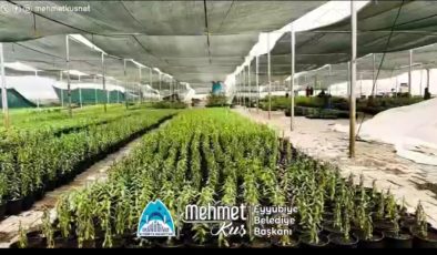 Eyyübiye’de Tasarruflu ve Sürdürülebilir Yeşil Alan Modeli