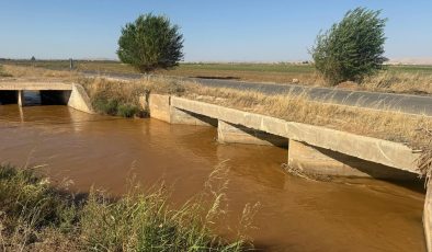 GAP’ın Başkenti Şanlıurfa’da Vahşi Sulama Alarmı: Obruklar ve Verim Kaybı Artıyor