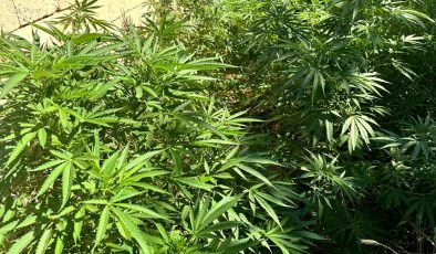 Şanlıurfa’da Narkotik Operasyon: 6 Şüpheliye Adli Kontrol