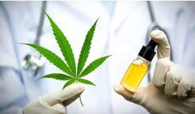 Tıbbi Kenevir Yasası TBMM’de Kabul Edildi