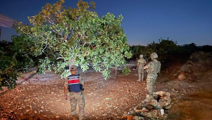 Şanlıurfa’da Jandarmanın fıstık nöbeti başladı