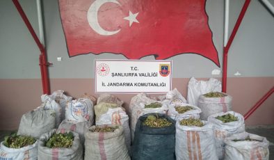 ŞANLIURFA’DA FISTIK HIRSIZLIĞINA 13 GÖZALTI