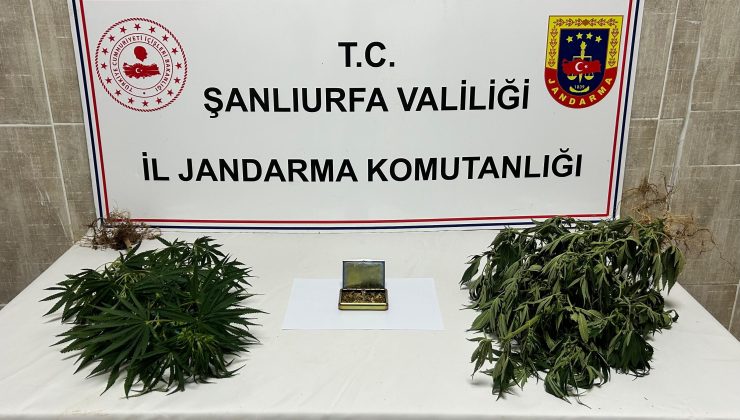 ŞANLIURFA’DA UYUŞTURUCU OPERASYONU: 6 GÖZALTI